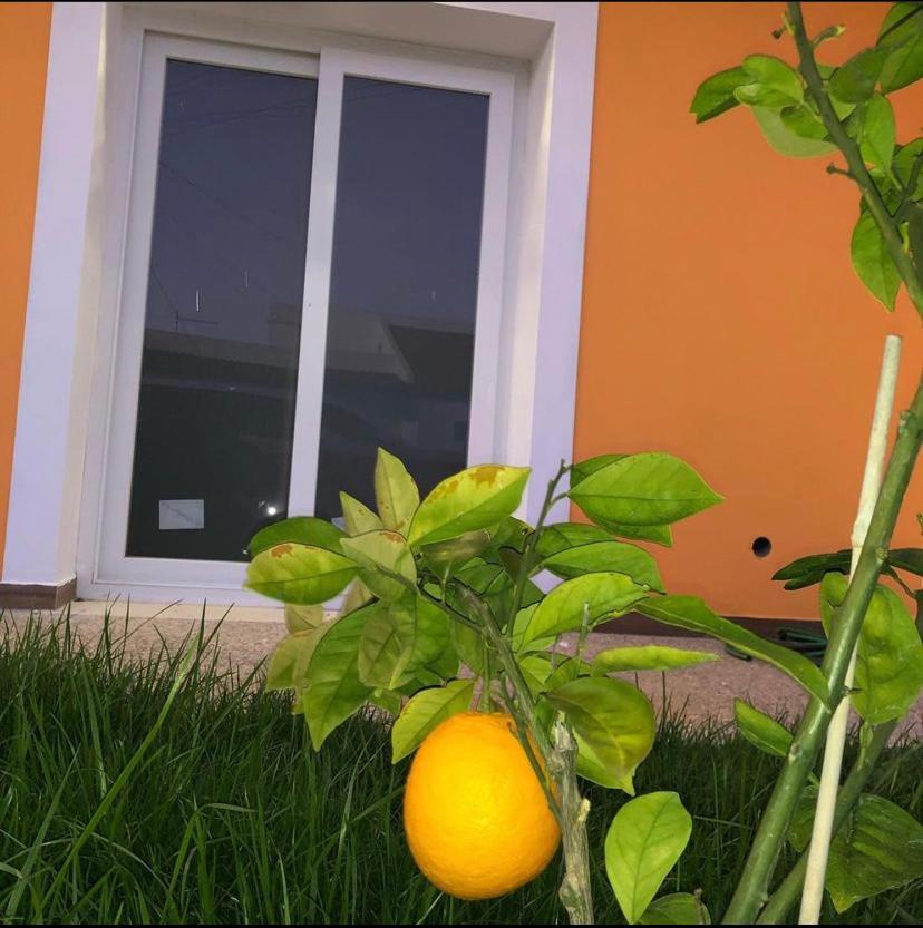 Orange Guest House Σάγκρες Εξωτερικό φωτογραφία